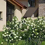Borgo Pianello Country Resort 4*