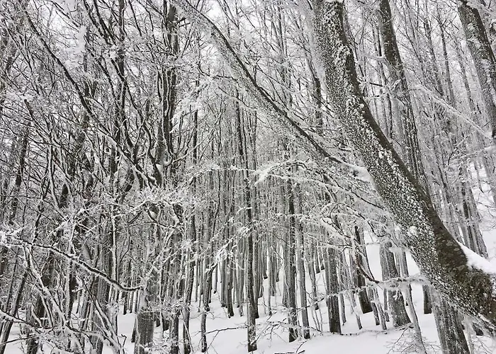 Borgo Pianello Country Resort Aparthotel