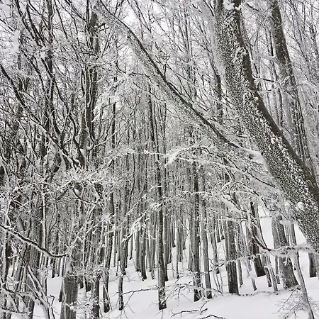 Borgo Pianello Country Resort Lägenhetshotell